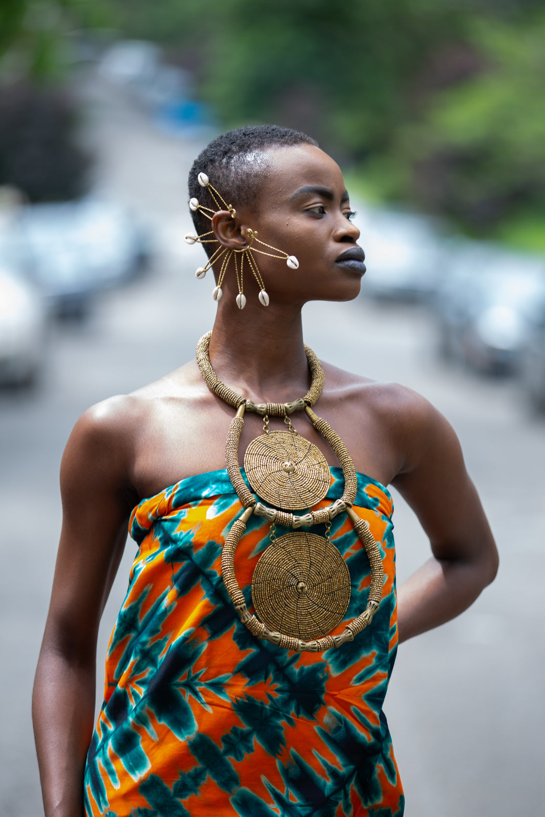 Wakanda Celebration: A Vehicle for Pan African Consciousness